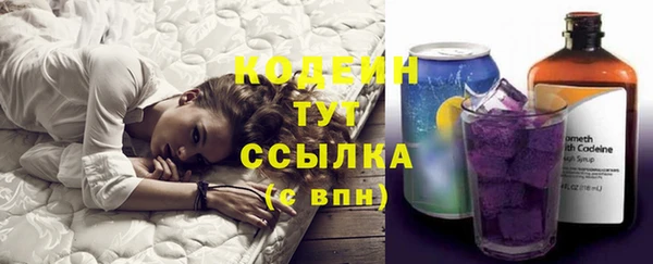 PSILOCYBIN Горно-Алтайск