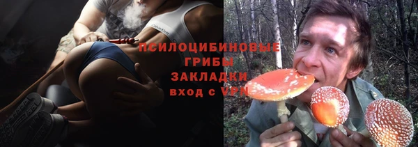 PSILOCYBIN Горно-Алтайск