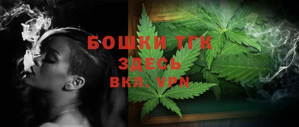 PSILOCYBIN Горно-Алтайск