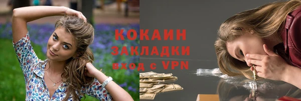 PSILOCYBIN Горно-Алтайск