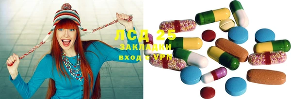 PSILOCYBIN Горно-Алтайск