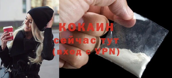 хмурый Горняк