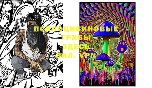 хмурый Горняк