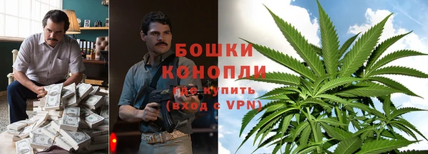 PSILOCYBIN Горно-Алтайск