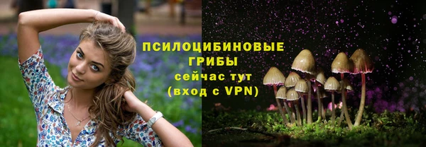хмурый Горняк
