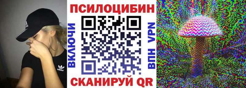 площадка состав  купить   Петровск  Псилоцибиновые грибы прущие грибы 